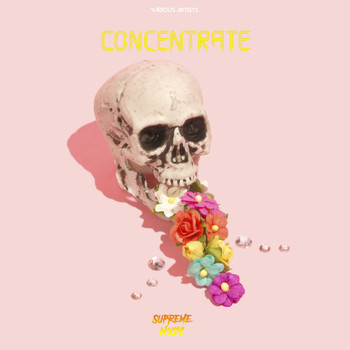 Various Artists - Concentrate