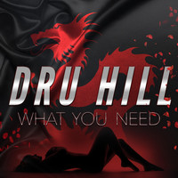 Dru Hill - What You Need