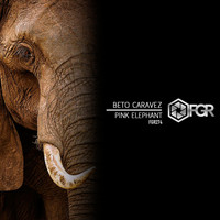 Beto Caravez - Pink Elephant