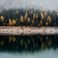 The Alchemical Theory - Fog over the Lake