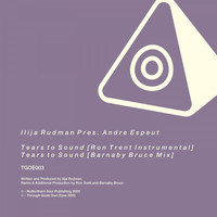Ilija Rudman & Andre Espeut - Tears to Sound