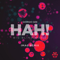 Giorgio Gee - Hah! (IMAG Remix)