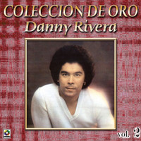 Danny Rivera - Colección De Oro: Mis Canciones Para Ti, Vol. 2