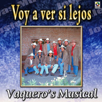 Vaquero's Musical - Joyas Musicales, Vol. 1: Voy A Ver Si Lejos