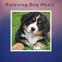 Music-to-Relax-Dogs - Relaxing Dog Music