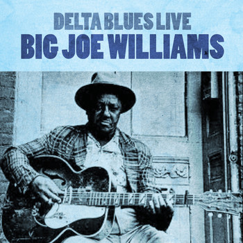 Big Joe Williams - Delta Blues Live