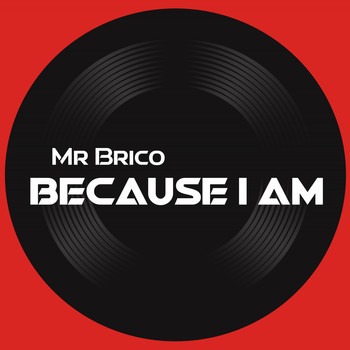 Mr Brico / - Because I Am