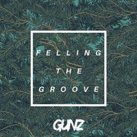 Gunz / - Feeling the Groove