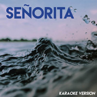 Vibe2Vibe - Señorita (Karaoke Version)