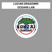 Lucian Dragomir - Oceans Lab