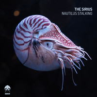 The Sirius - Nautilus Stalking