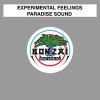 Experimental Feelings - Paradise Sound