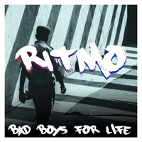 CDM Project - RITMO (Bad Boys for Life)