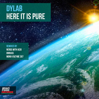 Dylab - Here It Is Pure
