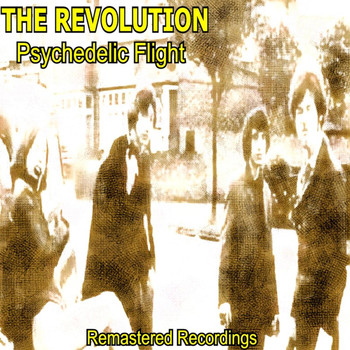 The Revolution - Psychedelic Flight