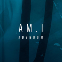am.i - Adendum