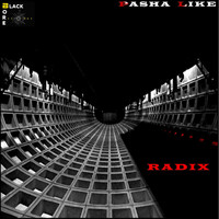 Pasha Like - Radix