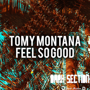 Tomy Montana - Feel So Good