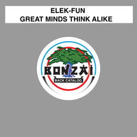 Elek-Fun - Great Minds Think Alike