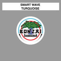 Smart Wave - Turquoise