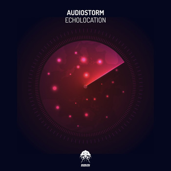 AudioStorm - Echolocation