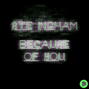 Ste Ingham - Because of You (Remixes)