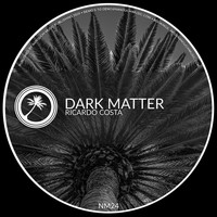 Ricardo Costa - Dark Matter