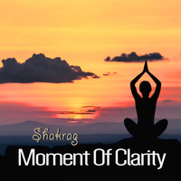 Shakrag - Moment Of Clarity