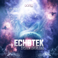 Echotek - System Overload