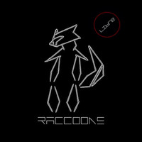 Raccoons - Libre