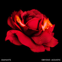 Diamante - Obvious (Acoustic)