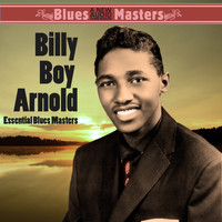 Billy Boy Arnold - Essential Blues Masters