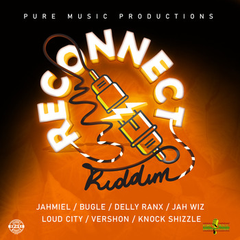 Various Artists - Reconnect Riddim