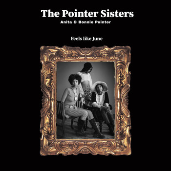 The Pointer Sisters - Feels like June