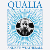 Andrew Weatherall - Qualia
