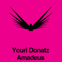 youri Donatz - Amadeus