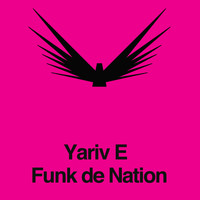 Yariv E - Funk da Nation