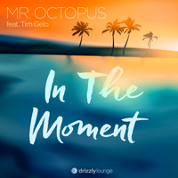 Mr. Octopus feat. Tim Gelo - In the Moment