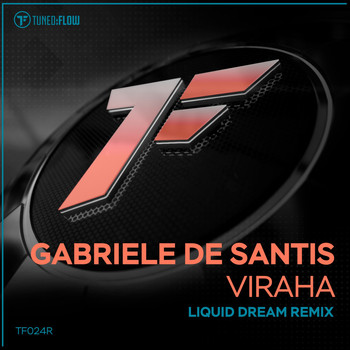 Gabriele De Santis - Viraha (Liquid Dream Remix)