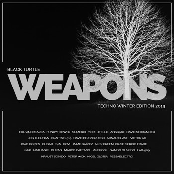 Various Artists - Black Turtle Weapons Techno Winter Edition 2019
