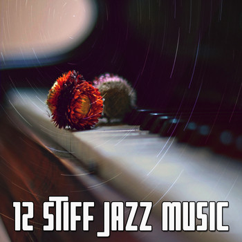Chillout Lounge - 12 Stiff Jazz Music