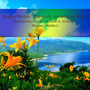 Bruno Walter - Bruno Walter: The early recordings Vol. 2 (Beethoven, Haydn, Strauss II, Schubert, Wagner, Mahler)