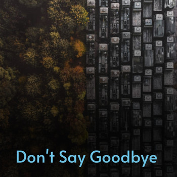 Various Artists - Don't Say Goodbye