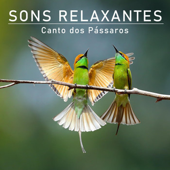 Música Com Sons Da Natureza De IMG Library - Sons Relaxantes: Canto dos Pássaros