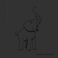Borna Libertines - Elephant