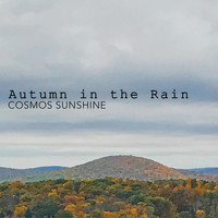 Cosmos Sunshine - Autumn in the Rain