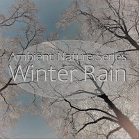 Ambient Nature Series - Winter Rain
