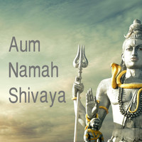 Vaishnavi Brassey - Aum Namah Shivaya