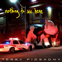 Terry Pidsadny - Nothing to See Here