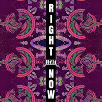 Leaf - Right Now (Explicit)
